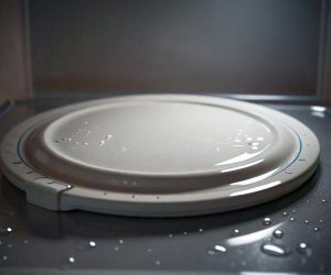 microwave plate