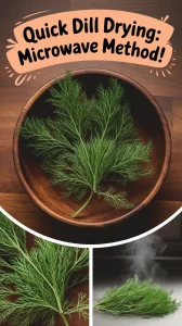 Fresh dill leaves placed in a bowl for microwave drying process