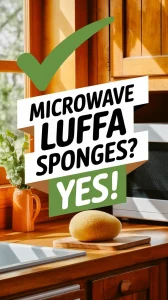 Luffa sponge on a kitchen counter with a microwave and a plant, related to microwaving luffa sponges for cleaning.