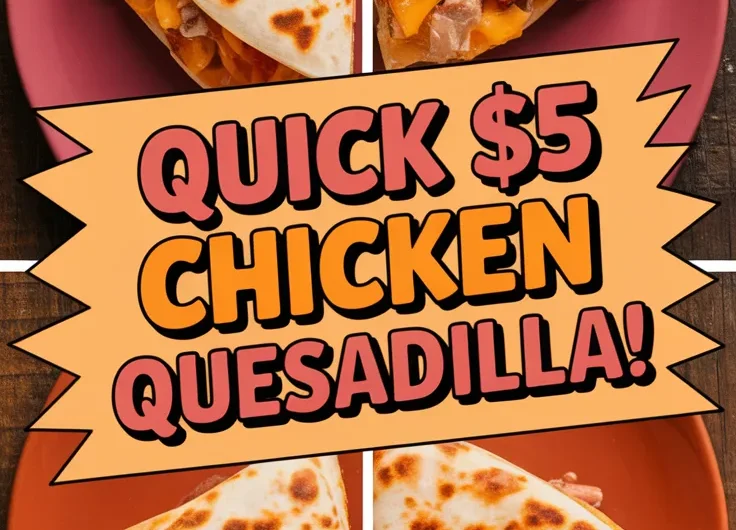 Cheap Microwave Canned Chicken Quesadilla