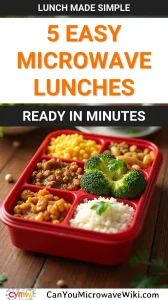 Delicious and healthy microwave lunches ready in minutes, perfect for work.